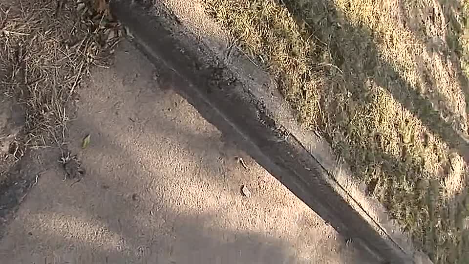 Ludd läuft nackt durch die Straßen