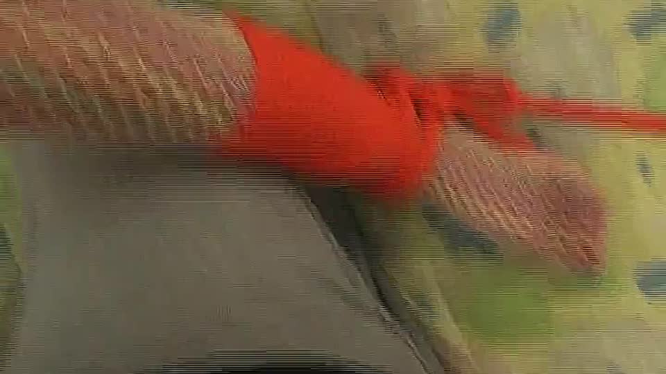 Gefesselte junge Schlampe POV Gefesselt und erobert